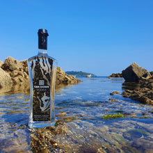 Load image into Gallery viewer, Tan Dowr Premium Cornish Sea Salt Vodka
