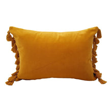 Load image into Gallery viewer, Terry Tassel Oblong Velvet Cushion