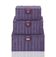Load image into Gallery viewer, Arpan Set of 3 Resin Woven Storage Basket Box