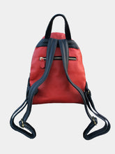 Load image into Gallery viewer, Backpack