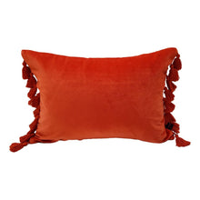 Load image into Gallery viewer, Terry Tassel Oblong Velvet Cushion