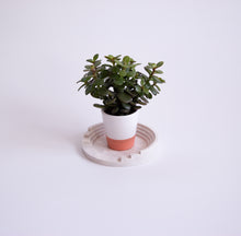 Load image into Gallery viewer, DECORATION TRAY SMALL