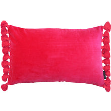 Load image into Gallery viewer, Terry Tassel Oblong Velvet Cushion