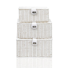 Load image into Gallery viewer, Arpan Set of 3 Resin Woven Storage Basket Box