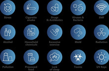 Load image into Gallery viewer, Portable Hydrogen Water Generator HP100