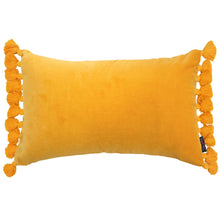 Load image into Gallery viewer, Terry Tassel Oblong Velvet Cushion