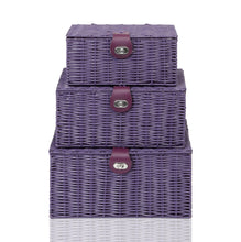 Load image into Gallery viewer, Arpan Set of 3 Resin Woven Storage Basket Box
