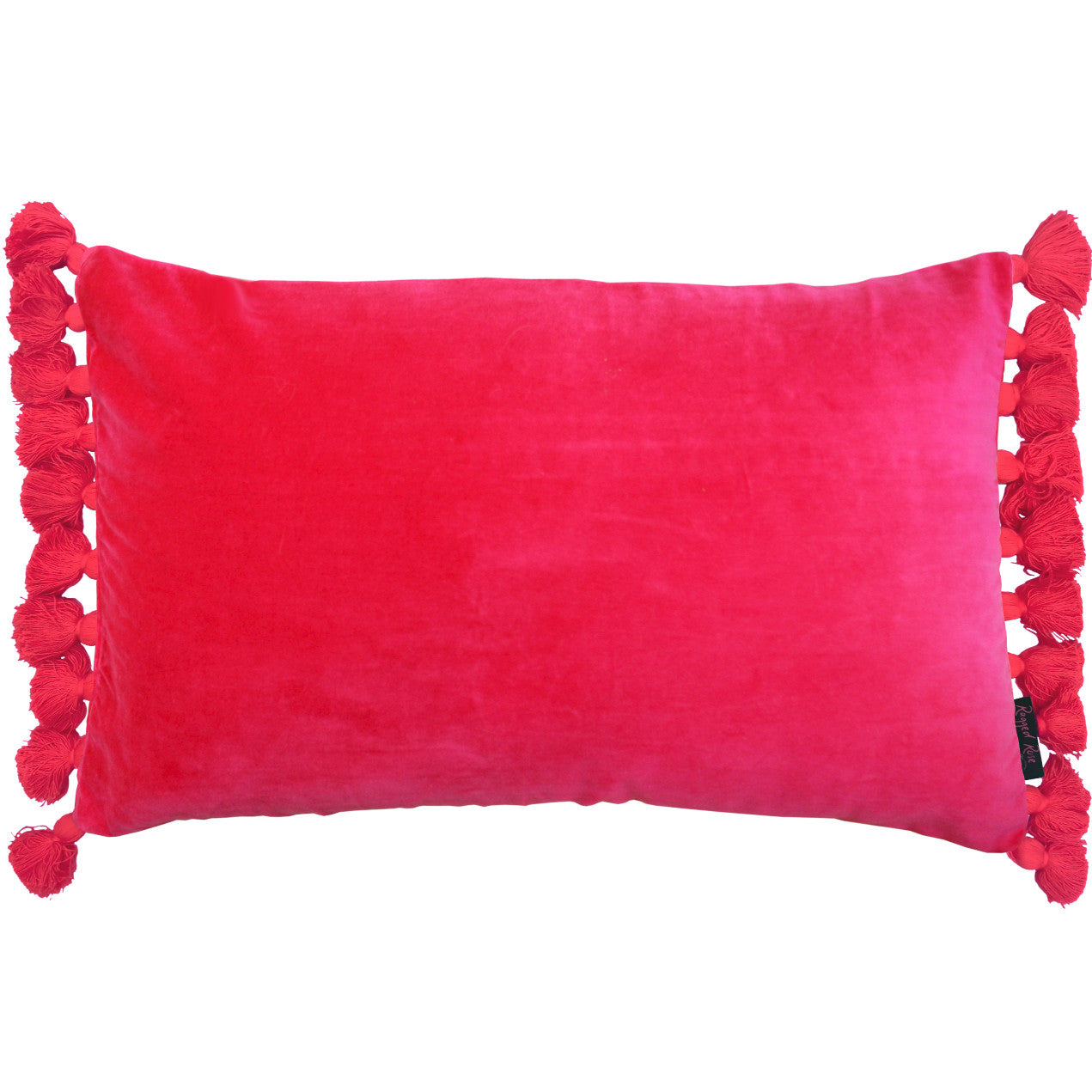 Terry Tassel Oblong Velvet Cushion
